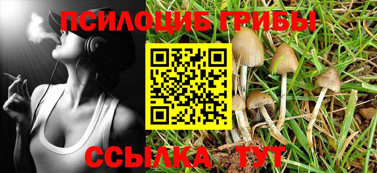 Галлюциногенные грибы Cubensis Можга
